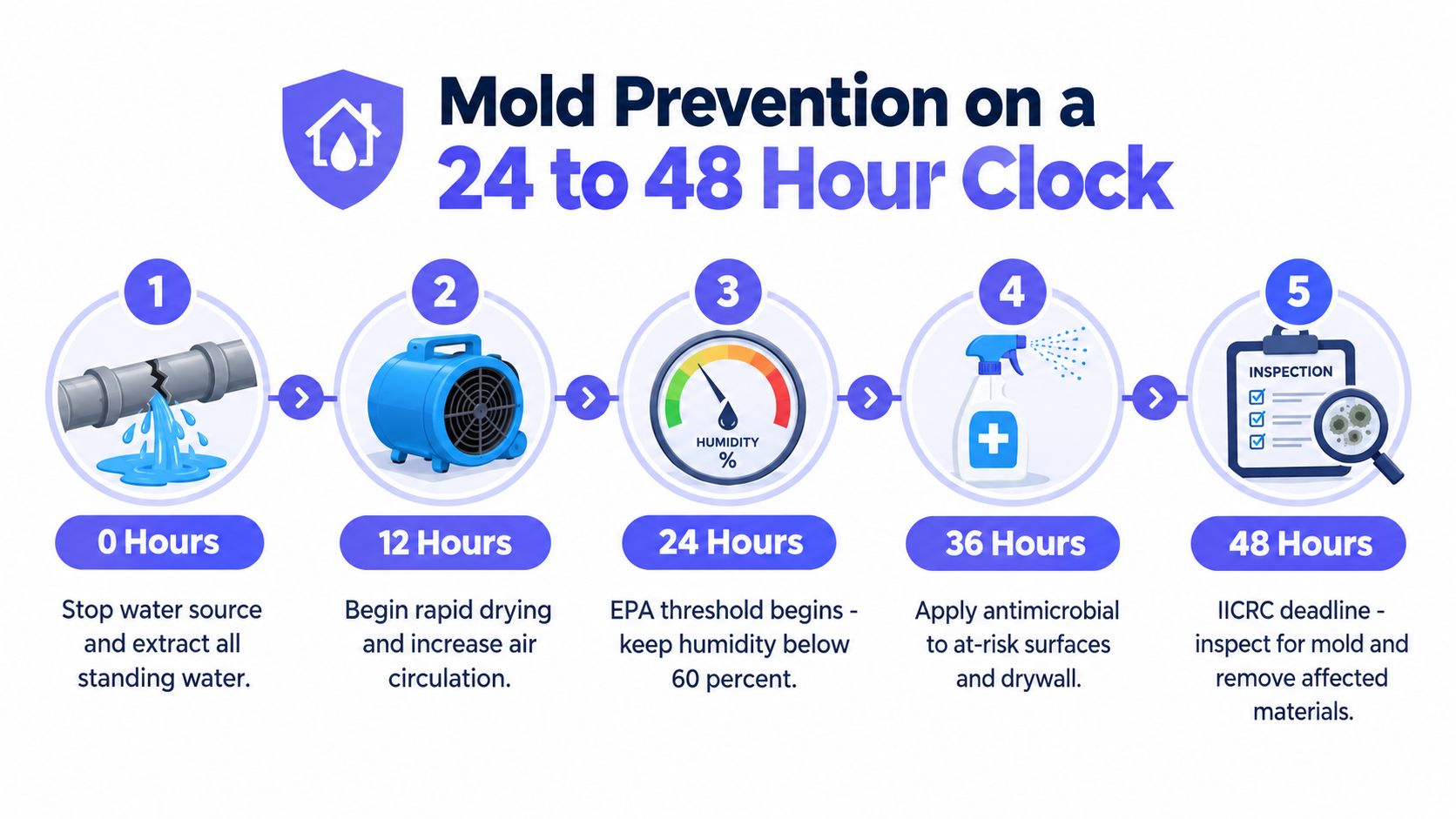 A step-by-step infographic illustrating the critical 48-hour timeline for effective mold prevention after water damage incidents.
